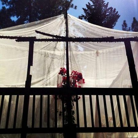 The Red Rooster Lodge Колтервилл Экстерьер фото
