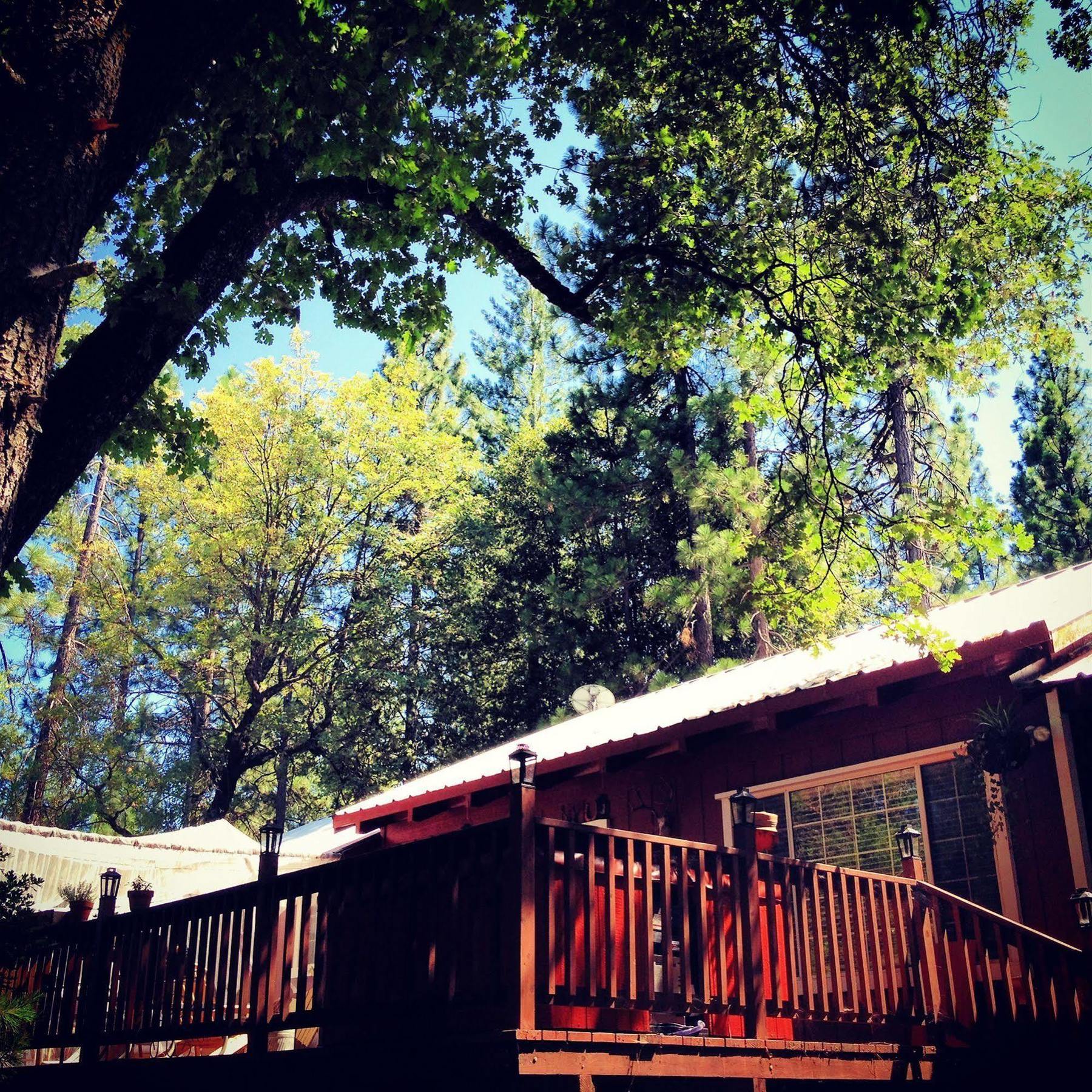 The Red Rooster Lodge Колтервилл Экстерьер фото